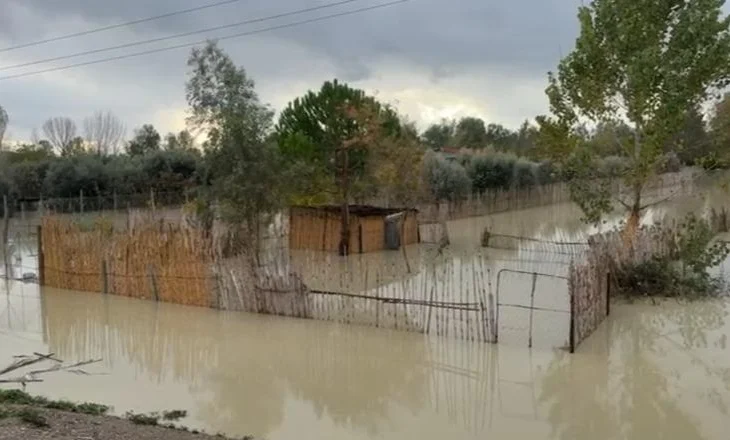 Moti i keq në vend/ Ulet niveli i Vjosës dhe Semanit, tërhiqen ujërat nga tokat bujqësore