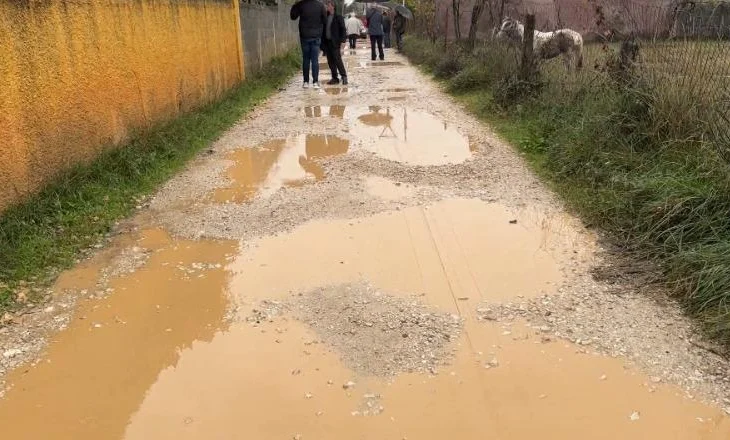 ”Na e premtuan në fushatë”, banorët e Fushë-Mamurrasit në protestë: Kërkojmë asfaltimin e rrugës