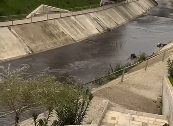 Ndotet sërish lumi Gjanica në Fier, kompanitë e naftës derdhin mbetjet hidrokarbure në ujë (Video)