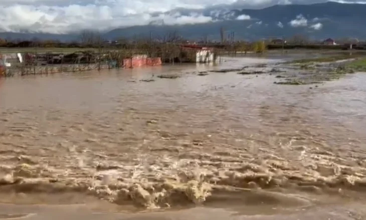 Nis riparimi i dëmeve nga moti i keq/ 200 banesa të prekura në Korçë dhe 3 mijë ha tokë nën ujë. Banorët në Novoselë kthehen në shtëpi