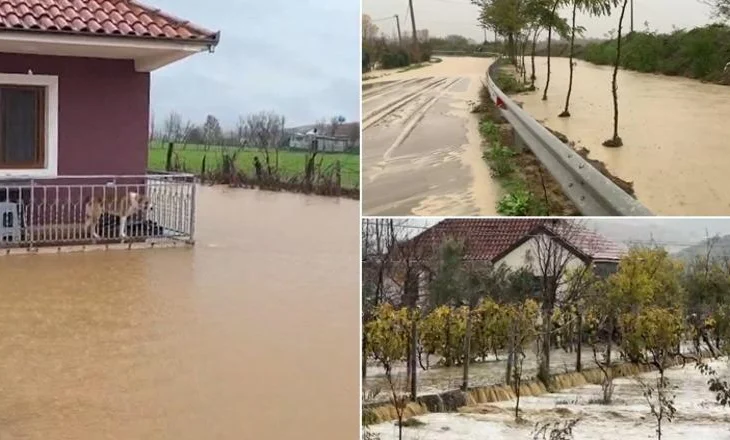 ‘Paralizohet’ vendi/ Përmbytje në Kurbin e Milot, prani uji në 62 banesa, lumi Droje del nga shtrati