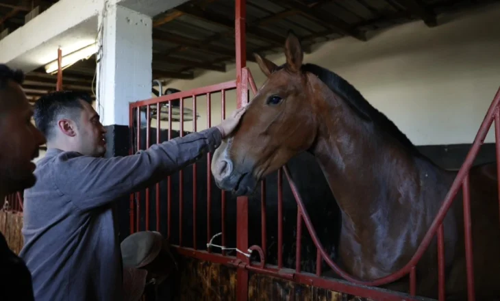 Pasioni për hipizmin po sjell jetë periferinë e Elbasanit