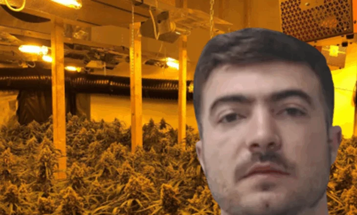 Perandoria 4 mln paund e drogës në Skoci! Shqiptari hiqej si italian për të mbuluar ‘shtëpitë e barit’, dënohet me burg