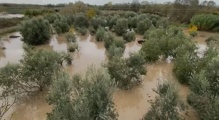 Përmbyten tokat bujqësore/ Lumi Shkumbin del nga shtrati, si paraqitet situata, rrezikohet deri në…