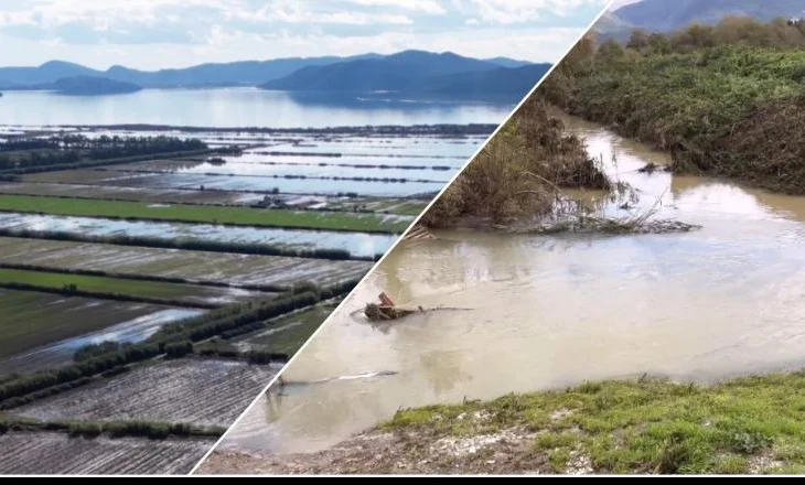 Përmbytjet/ 700 krerë bagëti e 2 mijë shpendë u mbytën në Sarandë! Nis verfikimi dëmeve në Lezhë, 300 ha ende në ujë