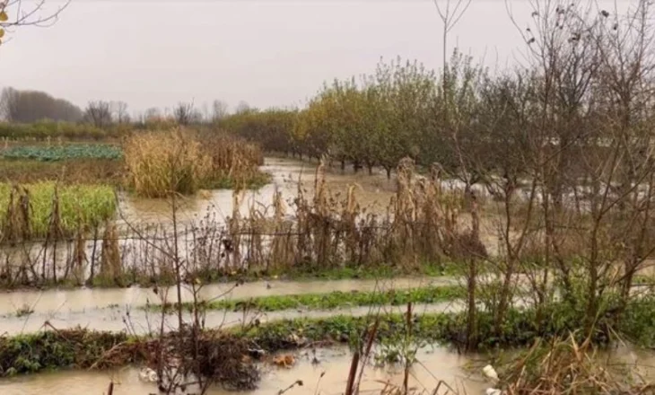 Përmbytjet në fushën e Maliqit/ Fermerët apel shtetit për ndihmë