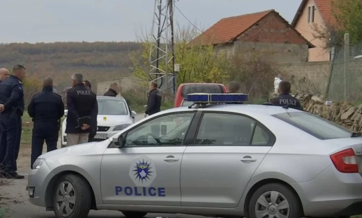 “Përshëndeti nënën e doli jashtë”, detaje të reja nga vrasja e dy vëllezërve nga kunati i tyre