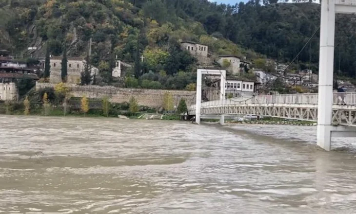 Po lundronin me kanoe në lumin Osum gjatë motit të keq, e pësojnë tre të rinjtë, shoqërohen në Polici