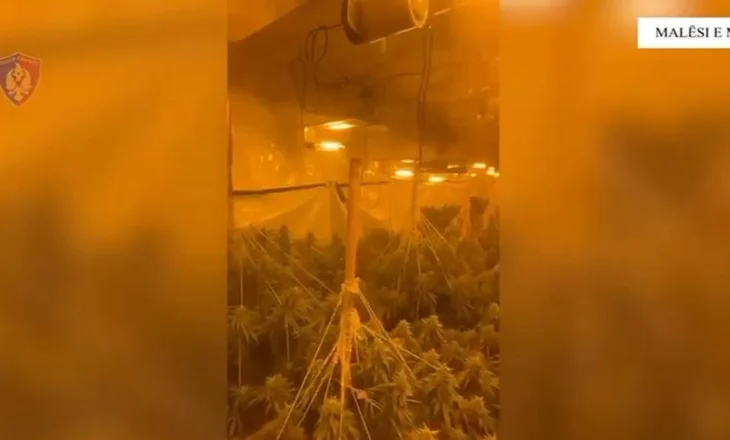 Policia “korr” shtëpitë e barit në Bajzë, arrestohet djali, në kërkim babai, në pranga edhe “shefat” e OSHEE