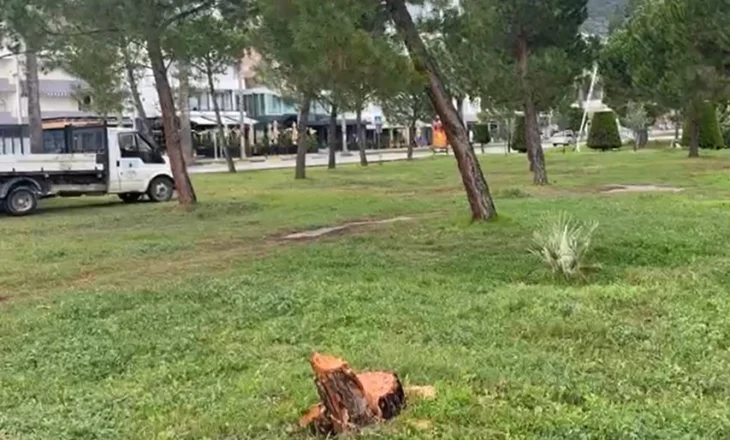 Pritet pishat natën në mes të Lungomares, Policia verifikon kamerat e sigurisë