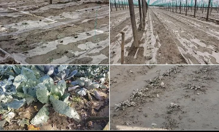 Prodhimet shkuan në lumë, banorët: Miliona lekë humbje