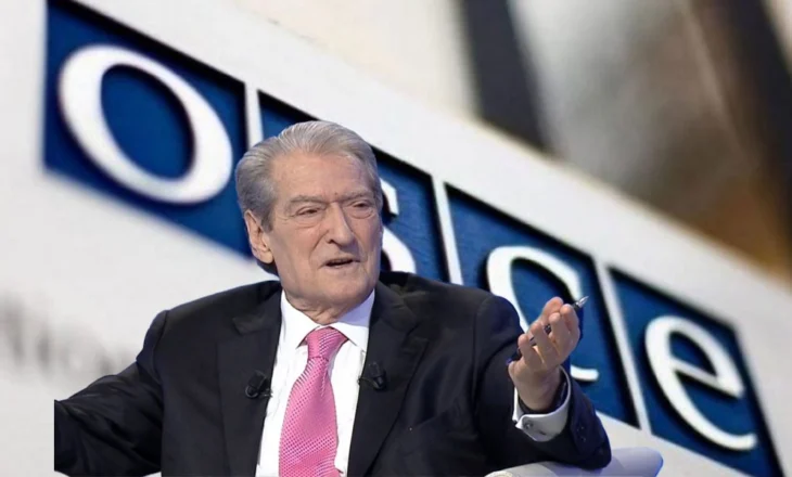 Raporti i OSBE për zgjedhjet/ Berisha: PD faktoi 2 mijë raste të vjedhjes…