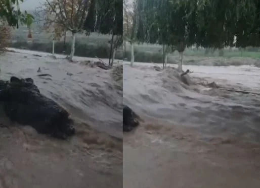 Reshje intensive shiu në Finiq, përroi i fshatit del nga shtrati, përmbyten fushat dhe rrugët