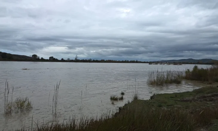 Rrezikohen të përmbyten tokat bujqësore në Fier, flasin banorët: Jemi të frikësuar, do na duheshin dy vite…