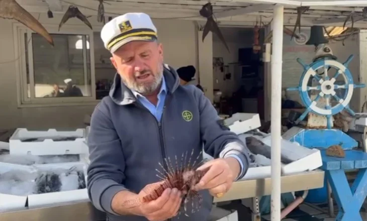 Rritet numri i ‘peshkut luan’ në Gjirin e Vlorës, rrezik për pushuesit dhe faunën detare