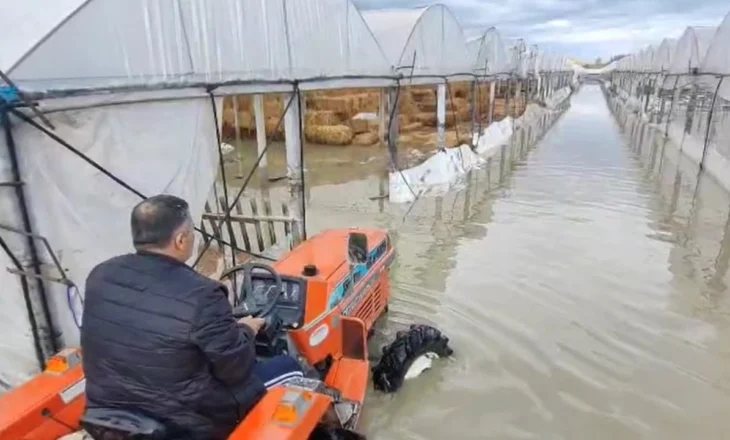 Semani mbyt bagëtitë dhe serat, niveli i lumit po rritet edhe për shkak të prurjeve nga Devolli