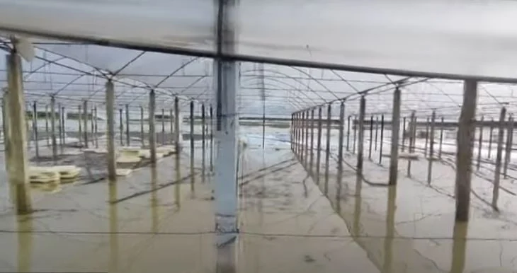 Semani nuk ‘fal’ as Fierin/ Alarm në Zharrëz, përmbytjet dëmtojnë dhjetëra hektarë me grurë