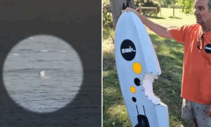 Serfisti australian sulmohet nga peshkaqeni, shpëton mrekullisht – kamera regjistroi gjithçka