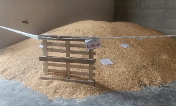 Shkodër/ AKU bllokon edhe 75 tonë misër nga Serbia, i njëjti eksportues