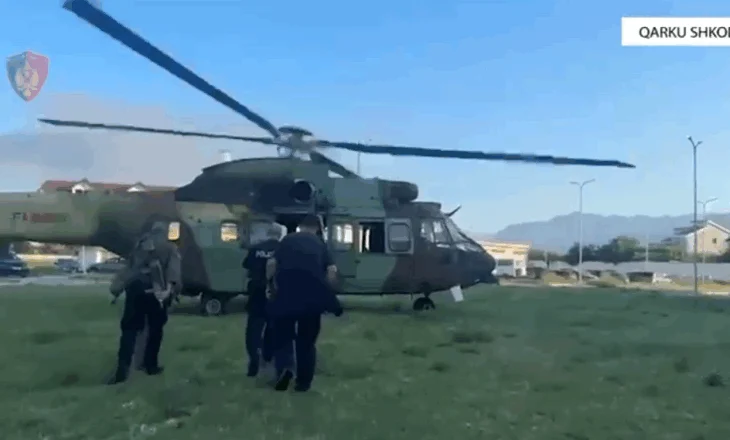 Shkodra kultivon 87% të totalit të kanabisit të zbuluar në gjithë vendin, Korça vetëm 4 fidanë