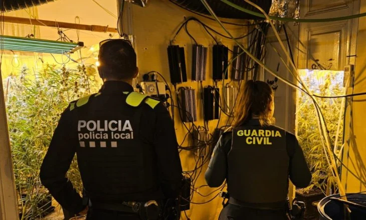 Spanjë/ Shkatërrohet plantacioni i kanabisit, prangoset i riu shqiptar