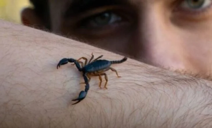 Studim/ Helmi i akrepit, trajtim për tumoret e kancerit të gjirit