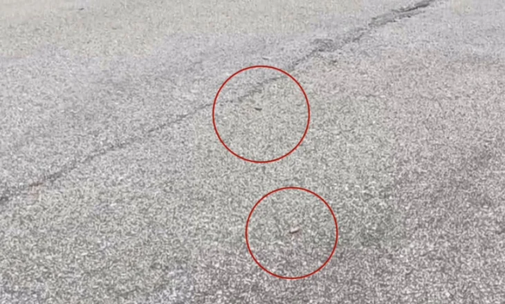 Të shtëna me armë zjarri në Lushnje, qëllohet në drejtim të një automjeti. Gjendet një makinë e djegur në Lifaj