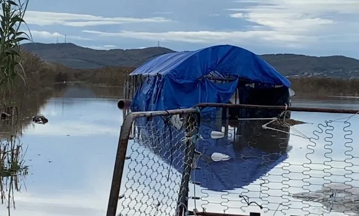 Tokat bujqësore në disa zona ende nën ‘pushtetin’ e ujit/ Moti i keq ‘paralizon’ qytetin e Lushnjës