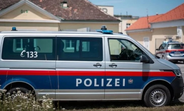 Tragjike/ Të zhdukura prej më shumë se një viti, gjenden në frigorifer trupat e nënës dhe vajzës 10-vjeçare