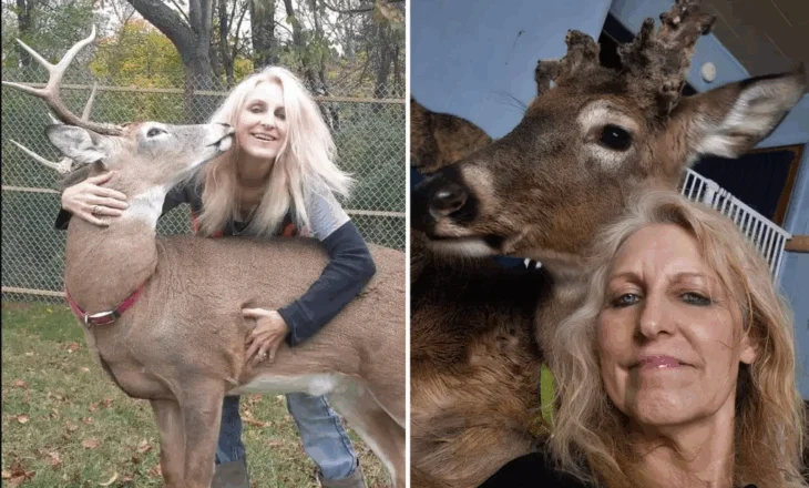 Vdekja tragjike e 64-vjeçares, u sulmua nga një dre për të cilin kujdesej prej vitesh