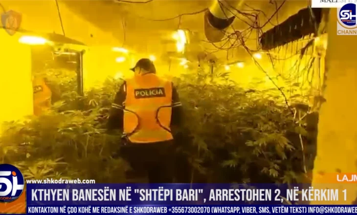 VIDEO – Kthyen banesën në “shtëpi bari”, arrestohen 2, në kërkim një tjetër në Malësi të Madhe…