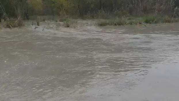 VIDEO-Niveli i lumit Vjosa në kuota maksimale, përmbyten 10 banesa