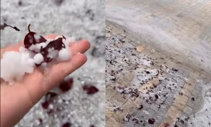 VIDEO/ Stuhi e fuqishme në Gramsh, dëme në bujqësi