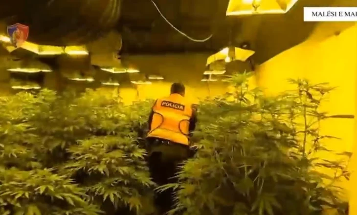 VIDEO/ Zbulohen 3 shtëpi bari në Malësi të Madhe, 2 në pranga, 4 punonjës të OSHEE në hetim