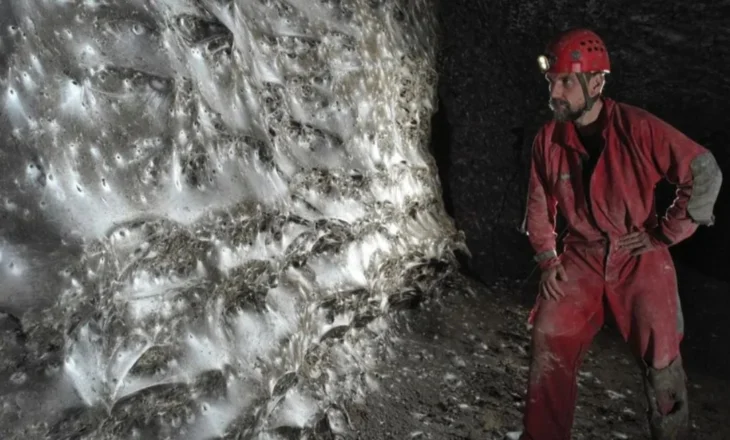 VIDEO/ Zbulohet në kufirin shqiptaro-grek rrjeta e merimangave më e madhe në botë