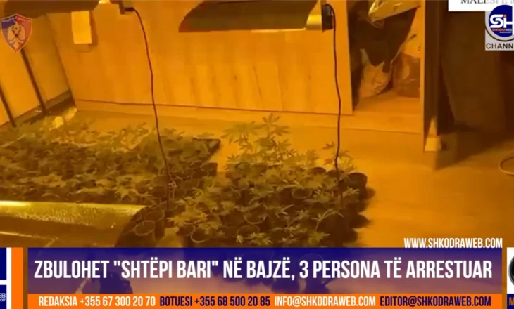 VIDEO – Zbulohet “shtëpi bari” në Bajzë të Malësisë së Madhe, arrestohen 3, procedohen 3 persona të tjerë