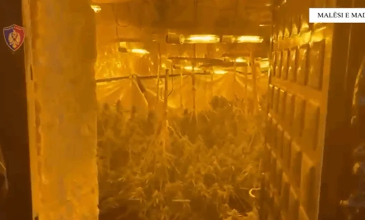 Vila dy katëshe e kthyer në “shtëpi bari” në Malësi të Madhe, arrestohen dy punonjës të OSHEE