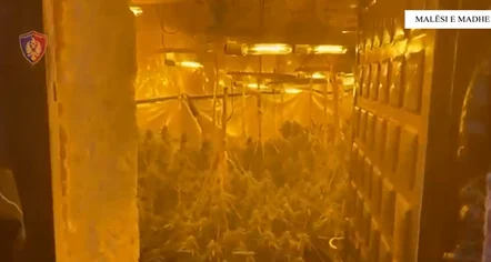 Vila dy katëshe e kthyer në “shtëpi bari” në Malësi të Madhe, arrestohet 22-vjeçari dhe dy punonjës të OSHEE