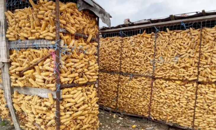 Vinte nga Serbia, AKU bllokon kamionin me 25 ton misër. Kishte përmbajtje të lartë të…