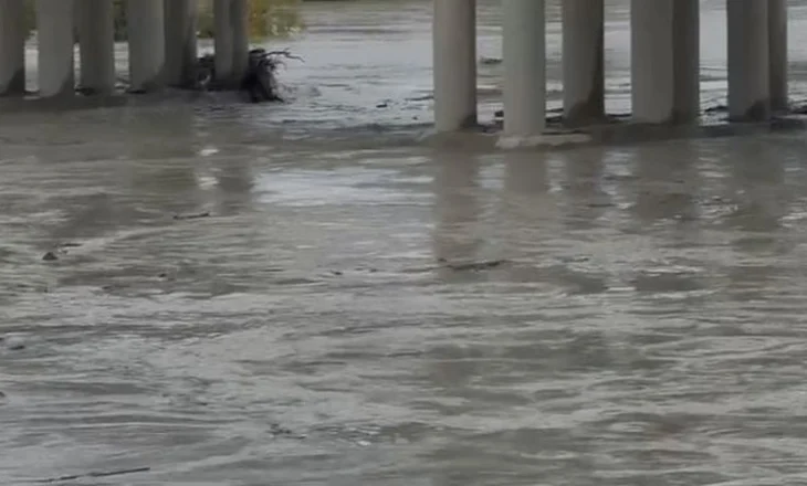 Vjosa rrezikon të dalë nga shtrati në Novoselë, banorët në gatishmëri për t’u evakuuar