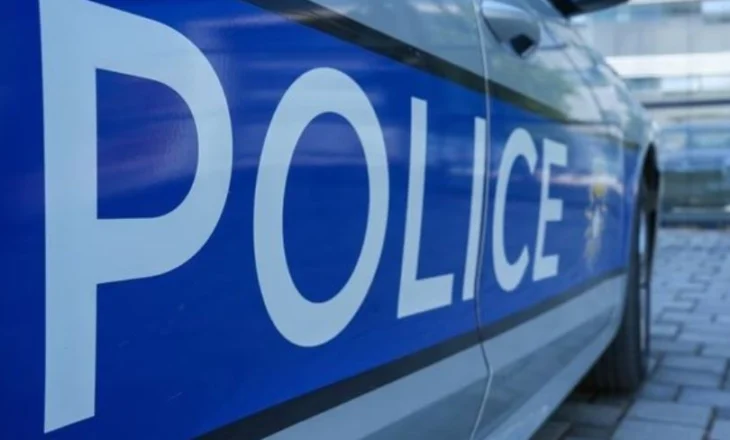 Vrasja e dy vëllezërve/ Autori i dyshuar, me të kaluar kriminale