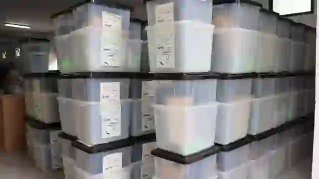 Zgjedhjet afrohen, Vlora “zien”, nis shpërndarja e materialeve zgjedhore