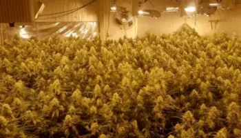 15 shqiptarë dënohen me 32 vite burg për ‘shtëpi bari’ në Angli, 6 refuzojnë fajësinë (Emrat)