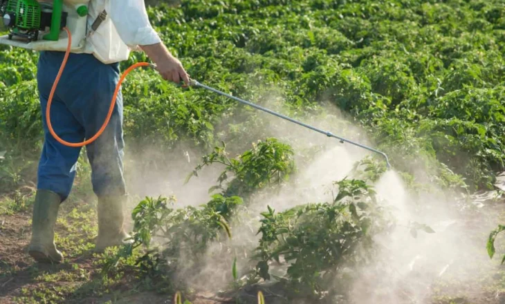 2.4 milionë euro për laboratorët e pesticideve, ja projekti që do të shpëtojë eksportet shqiptare nga kthimi në doganë