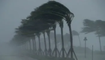 2026 nis me stuhi dimërore, Porja: Ngricat dhe dëbora pushtojnë gjithë Shqipërinë