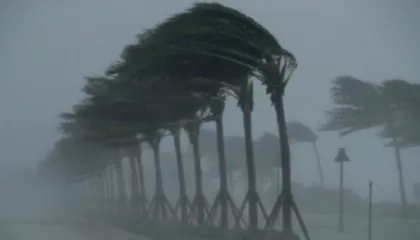 2026 nis me stuhi dimërore, Porja: Ngricat dhe dëbora pushtojnë gjithë Shqipërinë