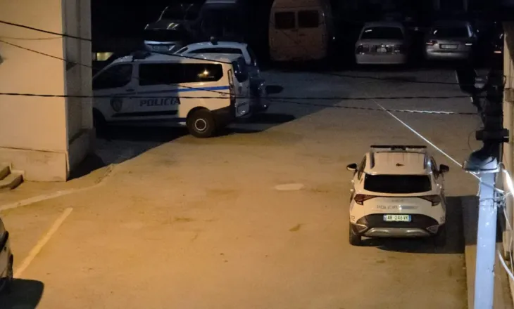 67-vjeçari përdhunon me dhunë të miturën dhe e la shtatëzënë, si u zbulua ngjarja e rëndë në Pogradec