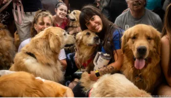 A kanë qentë një “shqisë të gjashtë” për tërmetet e rrezikun