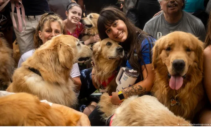 A kanë qentë një “shqisë të gjashtë” për tërmetet e rrezikun