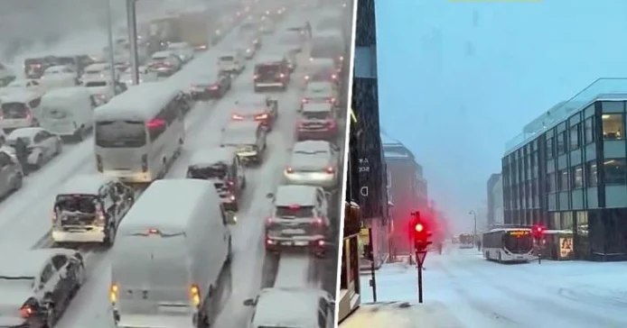 Acari polar përfshin SHBA-të